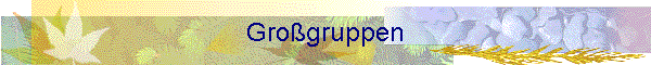 Grogruppen