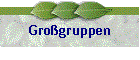 Grogruppen