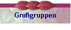 Grogruppen